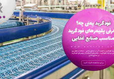 آشنایی با انواع پلیمرهای فودگرید و کاربرد آنها در مجله پکیلون