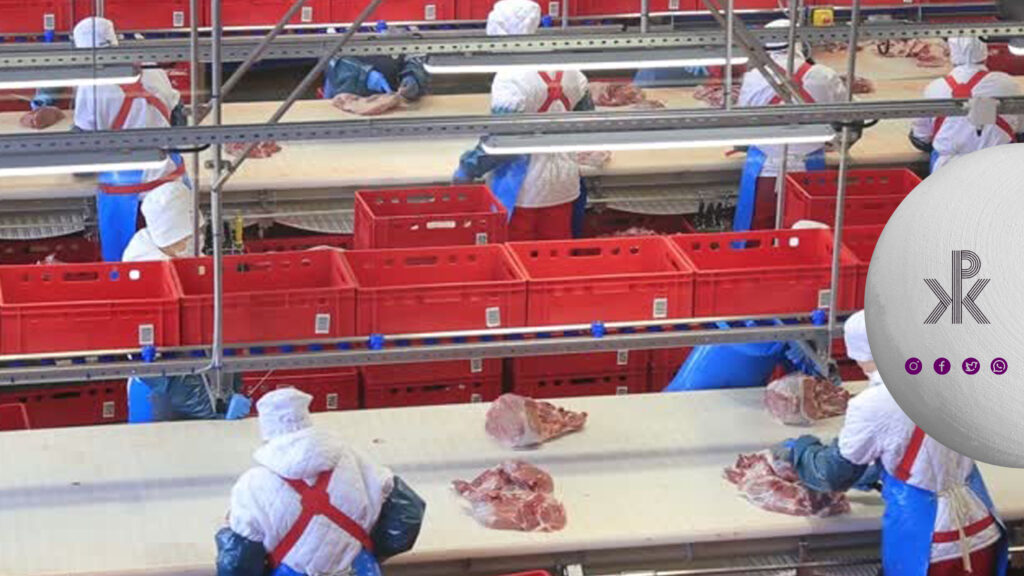 ایجاد خط تولید مواد گوشتی و پروتئینی با استفاده از تخته کار پلی اتیل