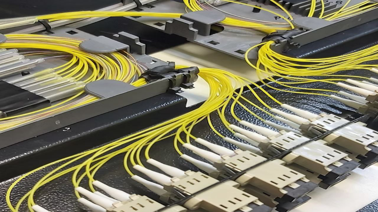 ورق فیبر استخوانی